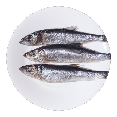opi_raeucherfisch